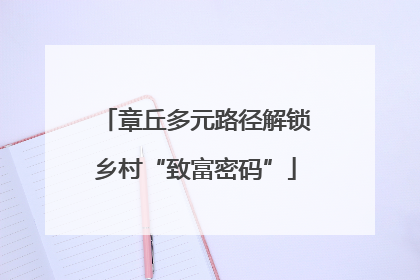 章丘多元路径解锁乡村“致富密码”