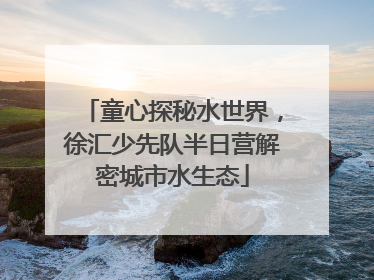 童心探秘水世界，徐汇少先队半日营解密城市水生态