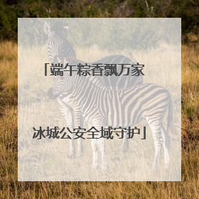 端午粽香飘万家 冰城公安全域守护
