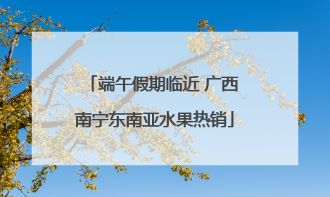 端午假期临近 广西南宁东南亚水果热销