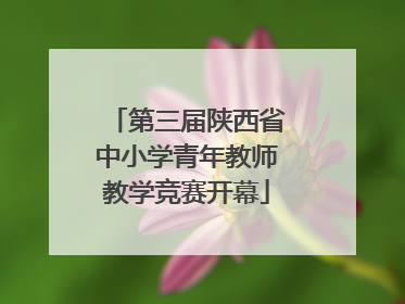 第三届陕西省中小学青年教师教学竞赛开幕