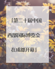 第二十届中国西部国际博览会在成都开幕