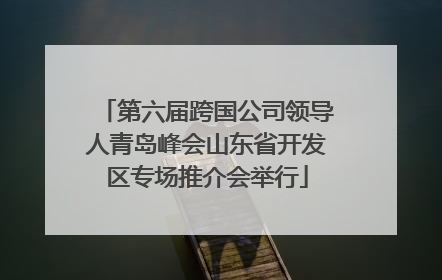 第六届跨国公司领导人青岛峰会山东省开发区专场推介会举行