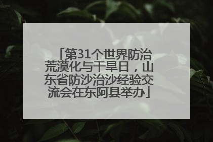 第31个世界防治荒漠化与干旱日，山东省防沙治沙经验交流会在东阿县举办