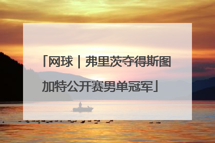 网球｜弗里茨夺得斯图加特公开赛男单冠军