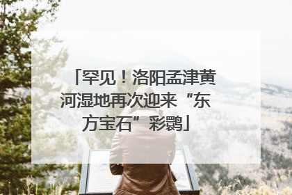 罕见！洛阳孟津黄河湿地再次迎来“东方宝石”彩鹮