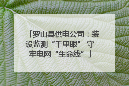 罗山县供电公司：装设监测“千里眼” 守牢电网“生命线”