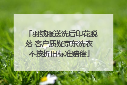 羽绒服送洗后印花脱落 客户质疑京东洗衣不按折旧标准赔偿