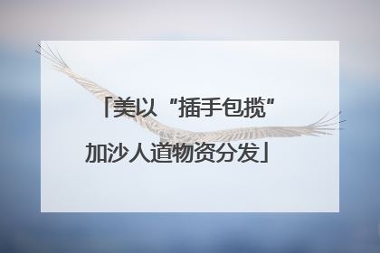 美以“插手包揽”加沙人道物资分发