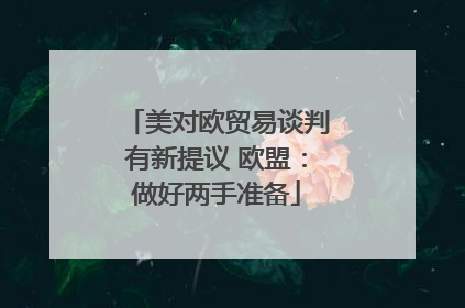 美对欧贸易谈判有新提议 欧盟：做好两手准备