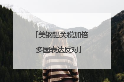 美钢铝关税加倍 多国表达反对