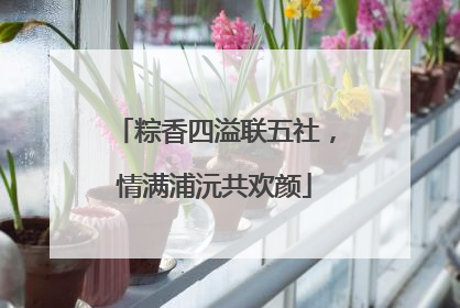 粽香四溢联五社，情满浦沅共欢颜