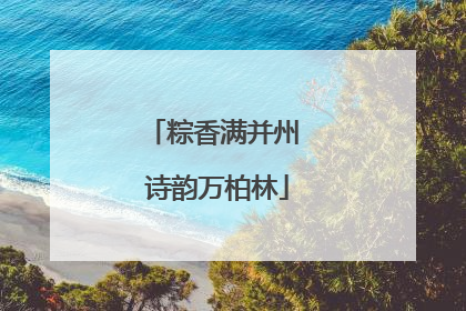 粽香满并州 诗韵万柏林