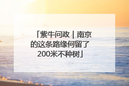 紫牛问政｜南京的这条路缘何留了200米不种树