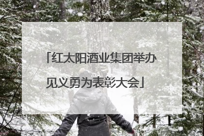 红太阳酒业集团举办见义勇为表彰大会