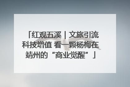 红观五溪｜文旅引流 科技增值 看一颗杨梅在靖州的“商业觉醒”