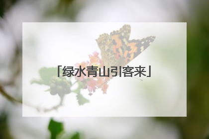 绿水青山引客来
