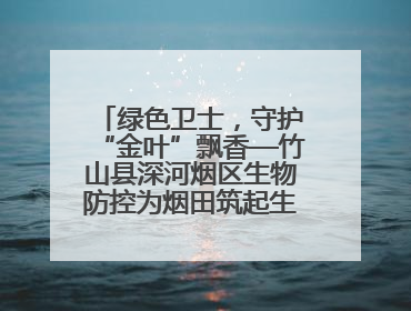 绿色卫士，守护“金叶”飘香—竹山县深河烟区生物防控为烟田筑起生态屏障
