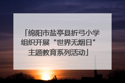 绵阳市盐亭县折弓小学组织开展“世界无烟日”主题教育系列活动