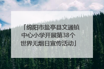 绵阳市盐亭县文通镇中心小学开展第38个世界无烟日宣传活动