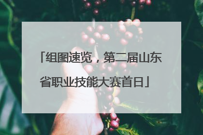 组图速览，第二届山东省职业技能大赛首日