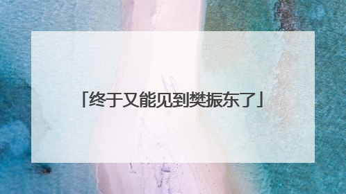 终于又能见到樊振东了