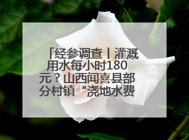 经参调查丨灌溉用水每小时180元？山西闻喜县部分村镇“浇地水费过高”调查
