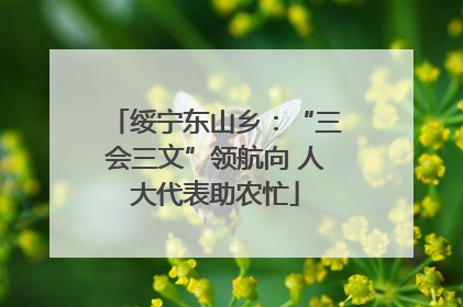绥宁东山乡：“三会三文”领航向 人大代表助农忙