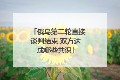 俄乌第二轮直接谈判结束 双方达成哪些共识