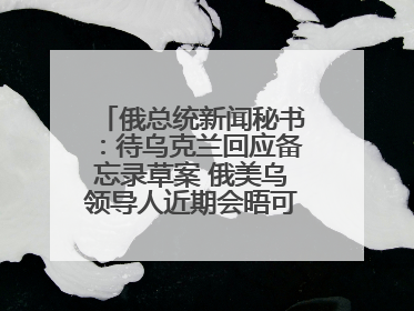 俄总统新闻秘书：待乌克兰回应备忘录草案 俄美乌领导人近期会晤可能性小