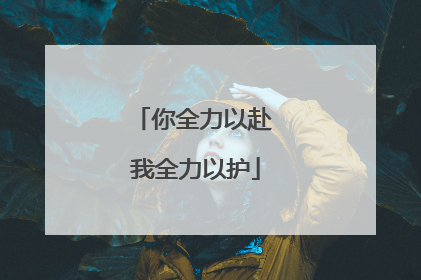 你全力以赴 我全力以护