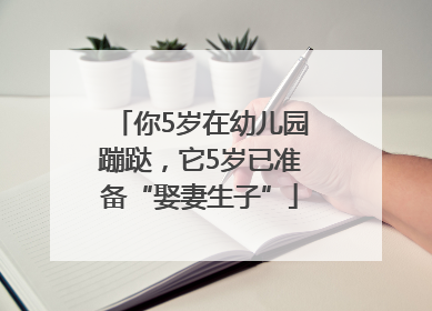 你5岁在幼儿园蹦跶，它5岁已准备“娶妻生子”