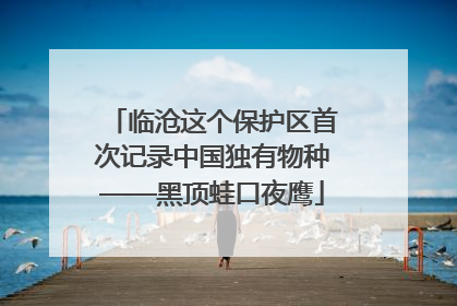 临沧这个保护区首次记录中国独有物种——黑顶蛙口夜鹰