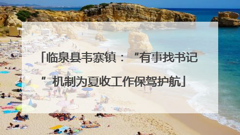 临泉县韦寨镇：“有事找书记”机制为夏收工作保驾护航