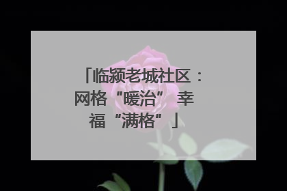 临颍老城社区：网格“暖治” 幸福“满格”