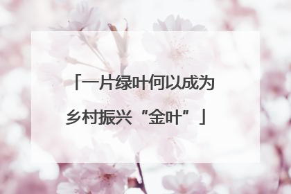 一片绿叶何以成为乡村振兴“金叶”