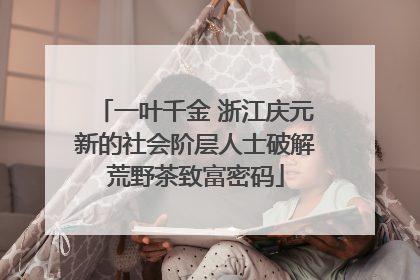 一叶千金 浙江庆元新的社会阶层人士破解荒野茶致富密码