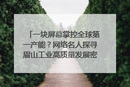 一块屏幕掌控全球第一产能？网络名人探寻眉山工业高质量发展密码｜网络名人四川行