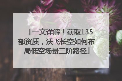 一文详解！获取135部资质，沃飞长空如何布局低空场景三阶路径