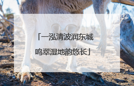 一泓清波润东城 鸣翠湿地韵悠长