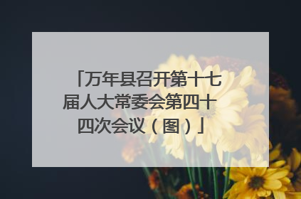 万年县召开第十七届人大常委会第四十四次会议（图）
