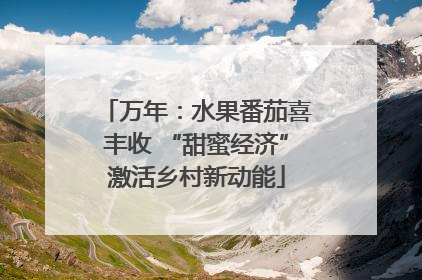 万年：水果番茄喜丰收 “甜蜜经济”激活乡村新动能
