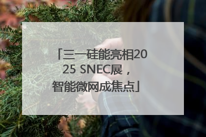 三一硅能亮相2025 SNEC展，智能微网成焦点