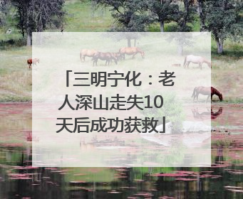 三明宁化：老人深山走失10天后成功获救