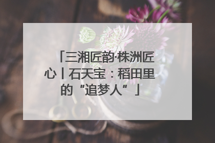三湘匠韵·株洲匠心丨石天宝：稻田里的“追梦人”