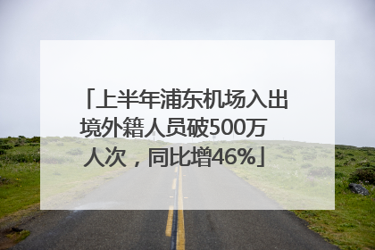 上半年浦东机场入出境外籍人员破500万人次，同比增46%