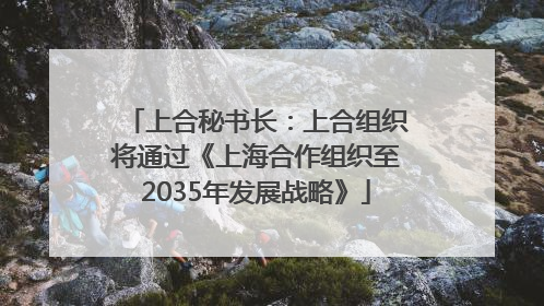 上合秘书长：上合组织将通过《上海合作组织至2035年发展战略》
