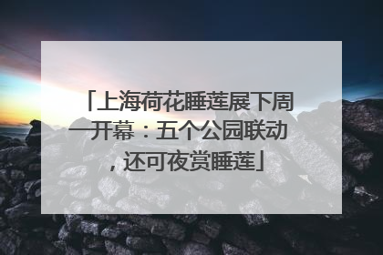 上海荷花睡莲展下周一开幕：五个公园联动，还可夜赏睡莲