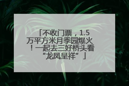 不收门票，1.5万平方米月季园爆火！一起去三好桥头看“龙凤呈祥”