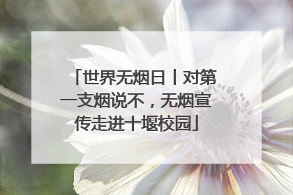 世界无烟日丨对第一支烟说不，无烟宣传走进十堰校园
